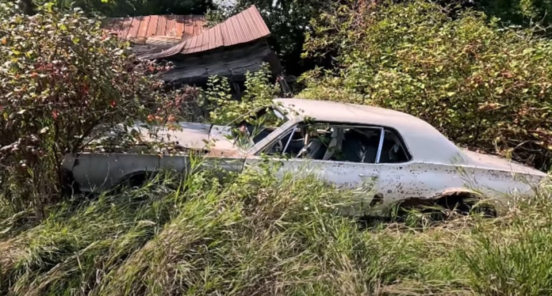 Классические американские автомобили нашли у заброшенного дома